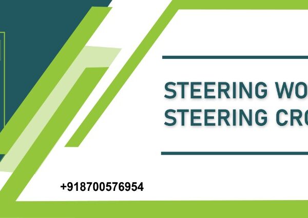 Steering-Worm-Steering-Cross-Assembly