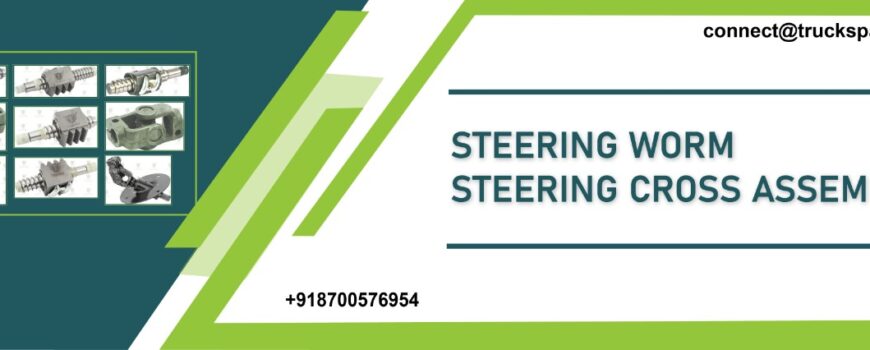 Steering-Worm-Steering-Cross-Assembly