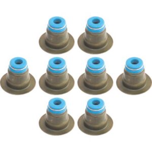 head valve seal set tc