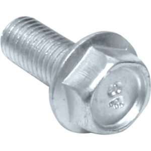 MARUTI TYPE BOLT  6X25  [10NO]
