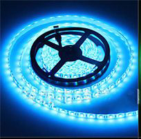 LED ROLL 24V 5 MTR 300 LED BLUE