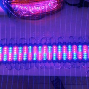 MODULE LIGHT (3+3) R/B COMMON VOLT