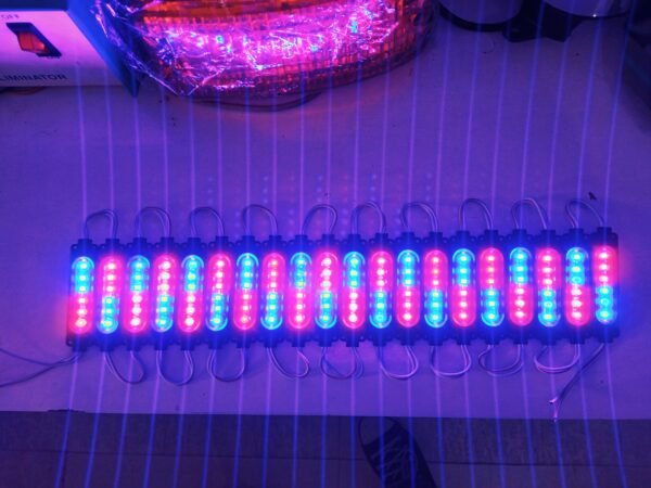 MODULE LIGHT (3+3) R/B COMMON VOLT