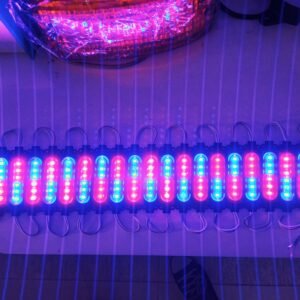 MODULE LIGHT (3+3) R/B COMMON VOLT
